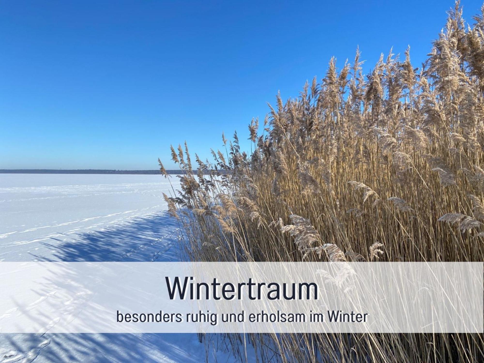 Strandhaus Mathea - Ruhige Lage Direkt Am Fleesensee - Parkplatz, Kamin, Sauna - Familienfreundlich Unter Gohren Exterior photo